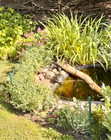 Sommer-Gartenbewohner